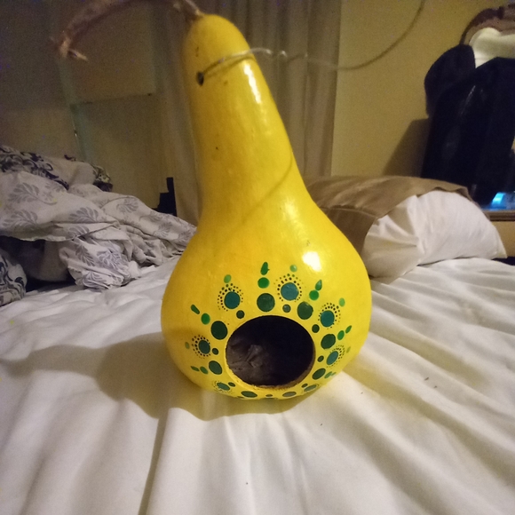 Gourd bird house - Picture 2 of 9